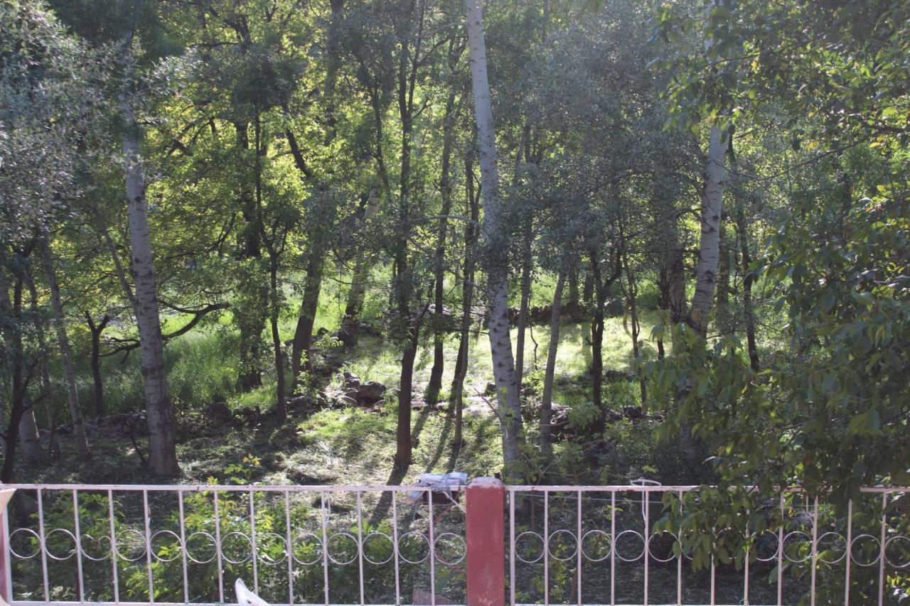 Auberge Toubkal Amsouzart Aitst Idar Tizgui Zewnętrze zdjęcie