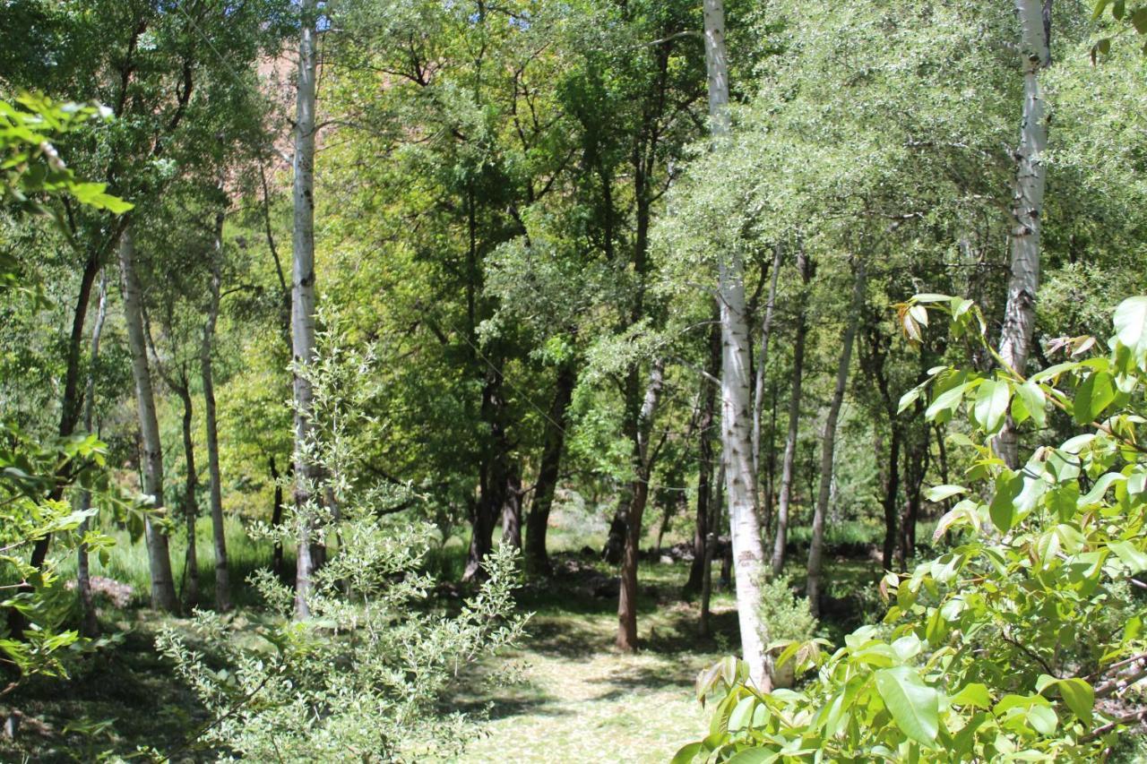Auberge Toubkal Amsouzart Aitst Idar Tizgui Zewnętrze zdjęcie